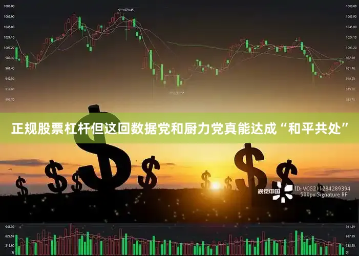 正规股票杠杆但这回数据党和厨力党真能达成“和平共处”