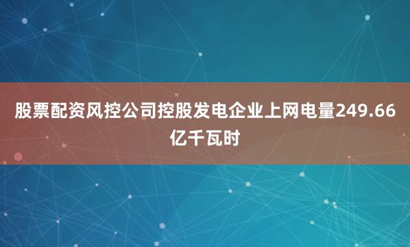 股票配资风控公司控股发电企业上网电量249.66亿千瓦时